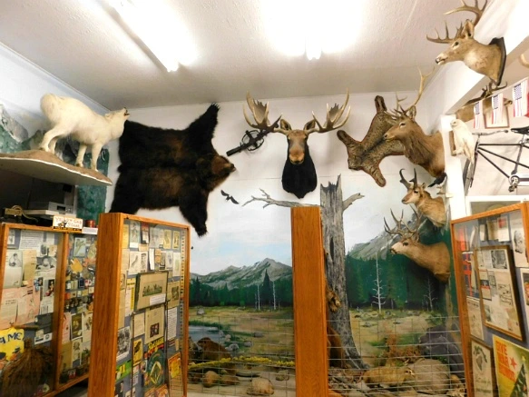 996161445B3455BC081A72