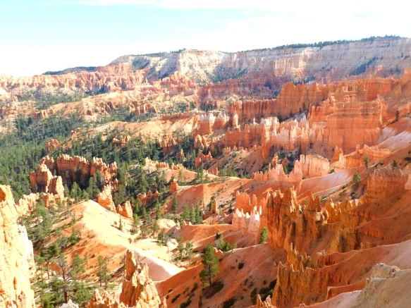 99BCC93359B9BC2124667D