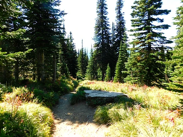 99A886455B95AA79189C99