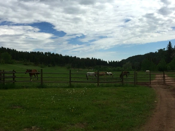 251B3843575E332B038E73