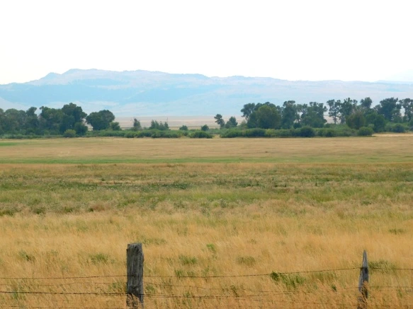 9983FD33599E4F371008D9