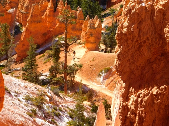 99BEF7335A1A3B72039226