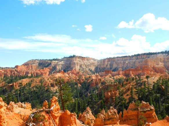 992B0A3359B9B91D1ACF59