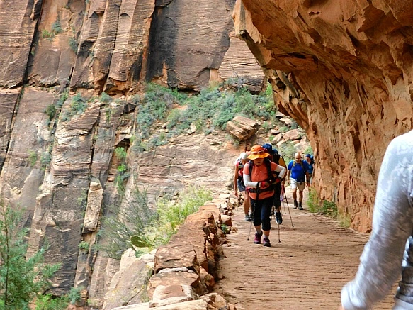 992D4C4B5BC6956613AD64