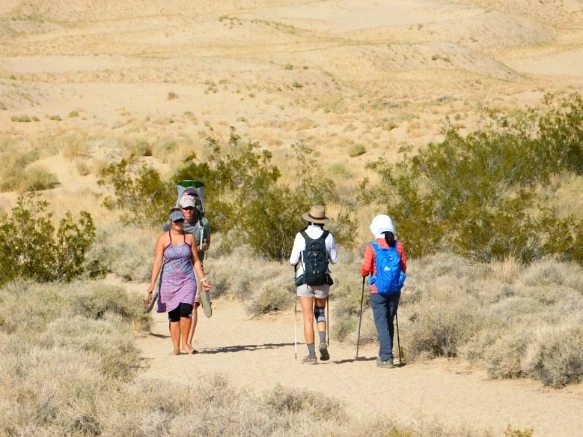 994D69335A206EA7323040