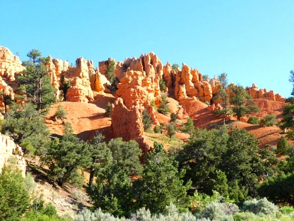 2417CE395769D71B1BA1A4