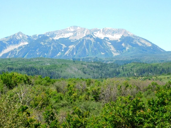 235C5541595C3176170491