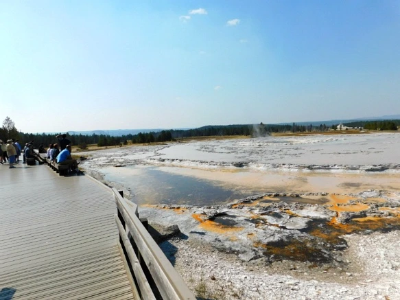 9905753359ADFB0C0D771C