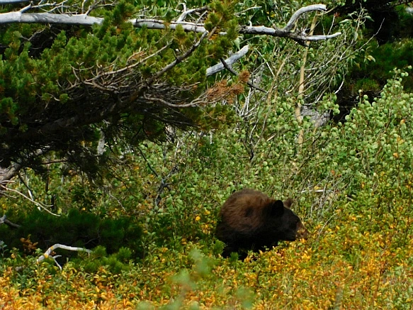 99619C3C5B949F5424CD1F