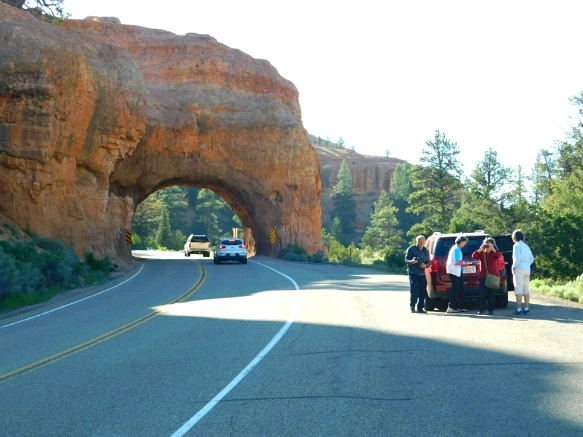 241819395769D7211E6C20