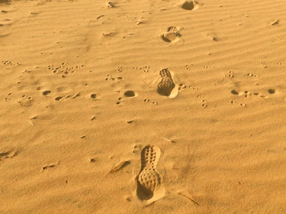 215B5533577B02B918FCF1