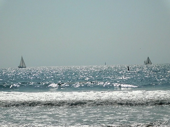 996E144D5BE11767078ECC