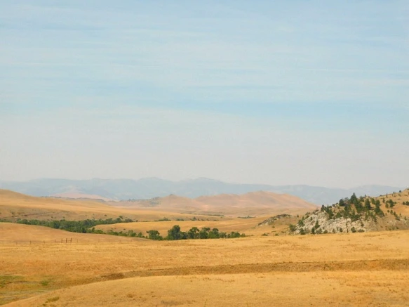 9930C733599F9D520CE05A