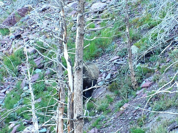 99B60E495B95B1C7325C1C