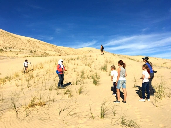 9903B5335A20BF49279D78