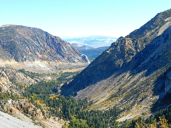 99E028335BD66E122E13C5