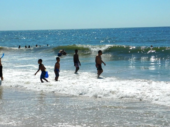 99D1274E5B5DFC4F067FF6