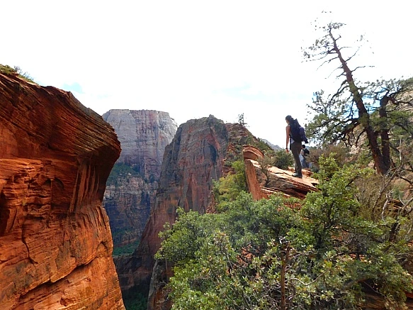 994EBC4E5BC69A371DB506