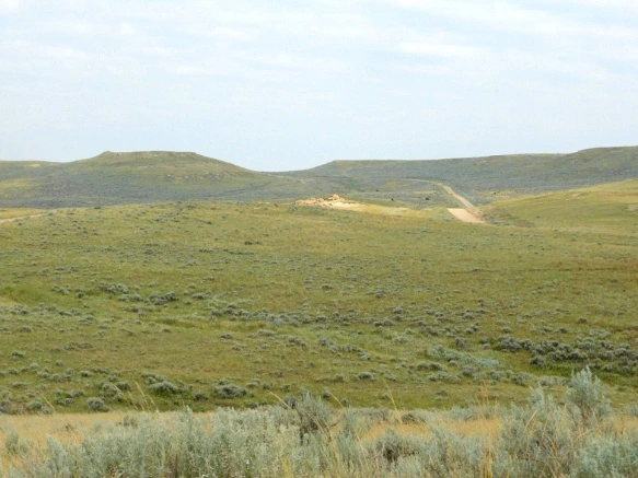 99B4CB4E5B77A1F513B84F