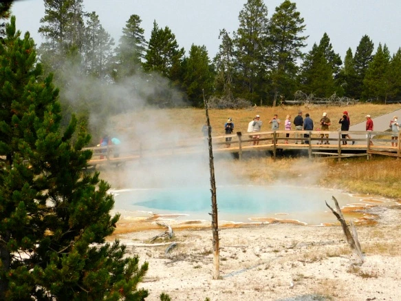 994D3B3359AF0DE827F5EA