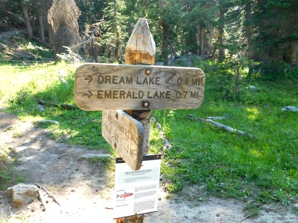 996F904E5B7266ED19D00B