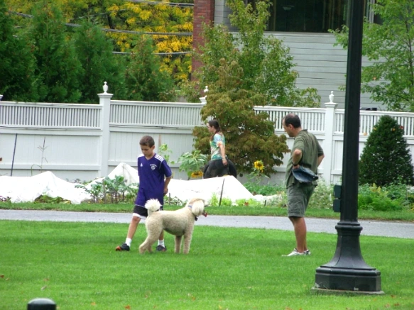 20482A4A4E7FE3C10E176B