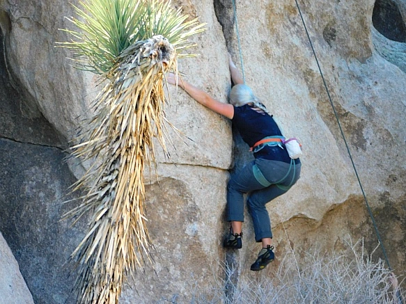 99EEF4485BE11CB1075C55