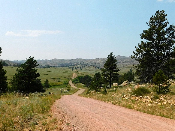 99DF1E4F5B7653921E5475