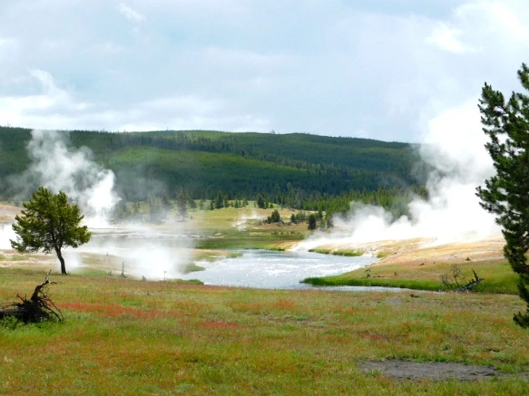 9974C9495B39A59332997F