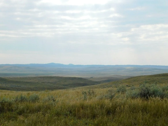 9942834E5B77A1EE347FBE