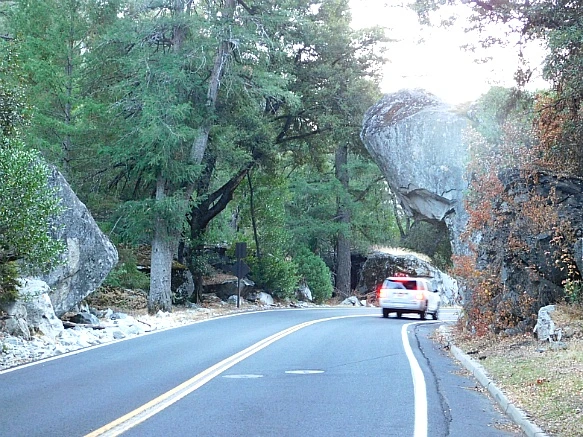 99BC8D375BD914F50B7033