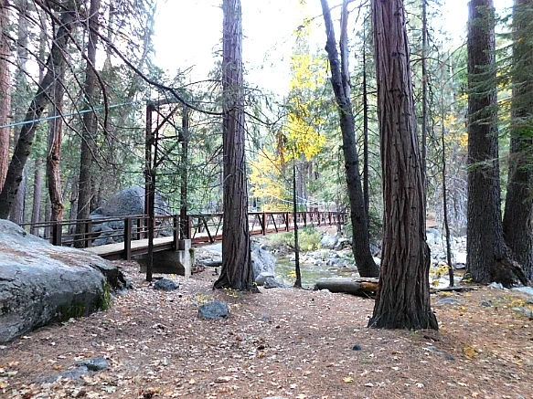 990827505BDBDA86124C7F