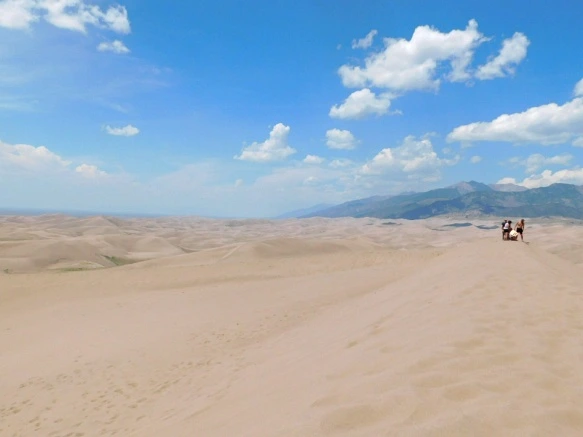 996CAF4F5B69232D115C94