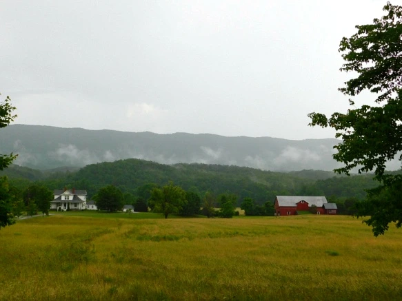 233FAA50595024442A82BF