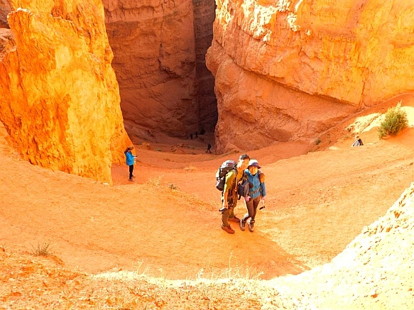 991B59495BC2C27908BA77