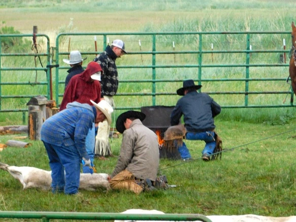 991F6A485B2DDE26056332