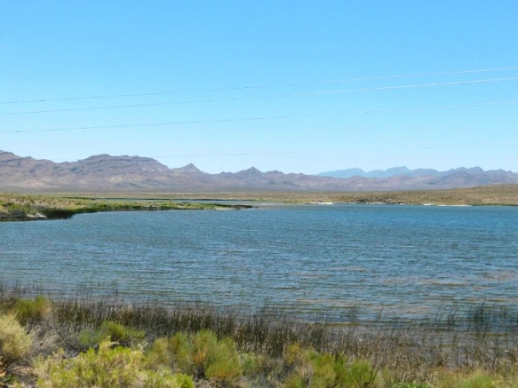 25061A46576CC63D062A76