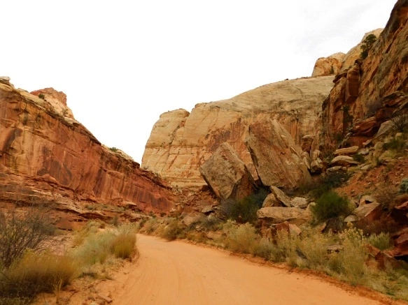 99F486335A13BB24240849