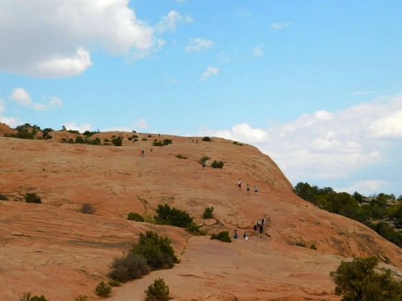 99D5073359B31A7F081C1C