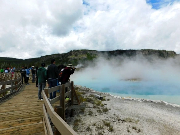 991F554E5B39A5983A856E