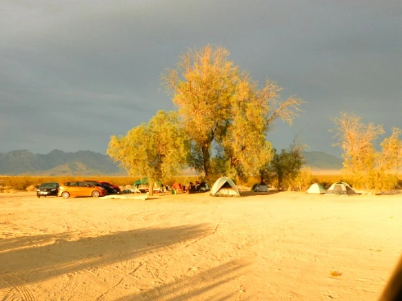 27159537577B02CF377D4C