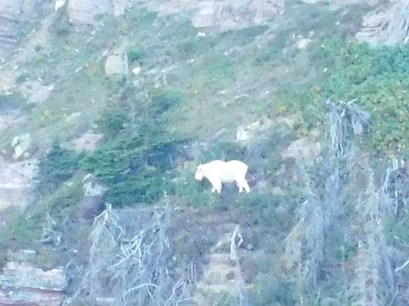 993A45465B95B1A92B3C8F