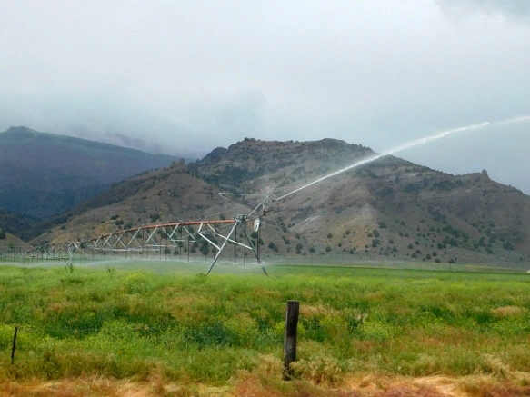 990AFE4A5B2DDE0B1FE627