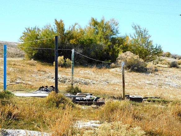 99FDE53C5BD1363217F28A