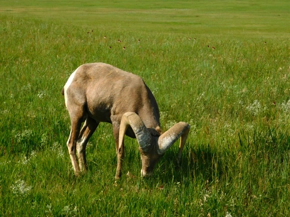 9930774A5B480ABA2D6FBB