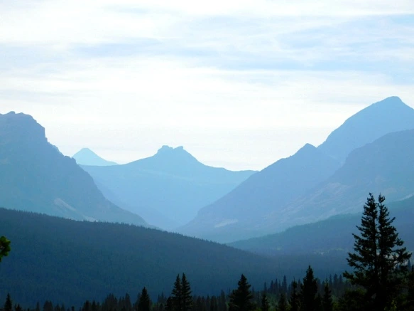 99FB053359A0FBAA3636BA