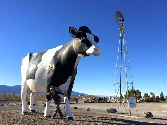 991F3A335A24BD36018F49