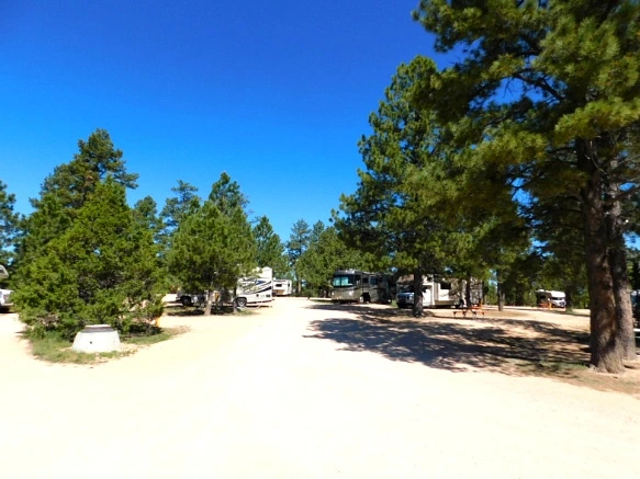 2229D03C5769DA7F1A7D76