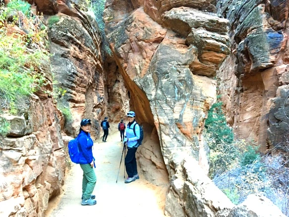 998B12335A1CBE1C0EDC26