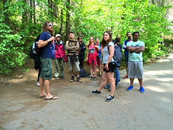 271C3B3457736F8F240766